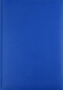Ежедневник-2012, светло-синий (72325914) Ежедневник-2012, светло-синий (72325914)