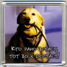 Магнитные подарочки. Кто рано встает, то твсех достает! Магнитные подарочки. Кто рано встает, то твсех достает!