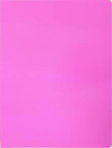 Папка 30 вкладышами А4 "Neon" розовая (DNE07V30PINK)