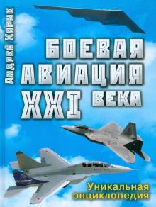 Боевая авиация XXI века