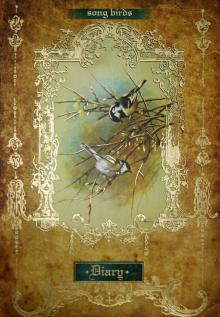 Ежедневник, размер 152х204 мм, 240 страниц (30061) Ежедневник, размер 152х204 мм, 240 страниц (30061)