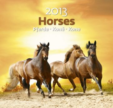 Календарь 2013. Horses/Лошади Календарь 2013. Horses/Лошади
