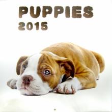 Календарь 2015 "Puppies" (2245) Календарь 2015 "Puppies" (2245)