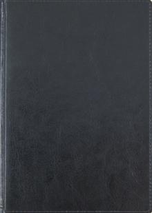 Ежедневник карманный-2012, А6, черный лакированный (791106253) Ежедневник карманный-2012, А6, черный лакированный (791106253)