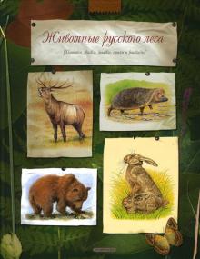 Бианки, Сладков, Соколов-Микитов - Животные русского леса обложка книги Бианки, Сладков, Соколов-Микитов - Животные русского леса обложка книги