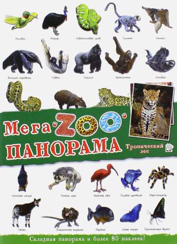 МегаZOOпанорама. Тропический лес обложка книги МегаZOOпанорама. Тропический лес обложка книги