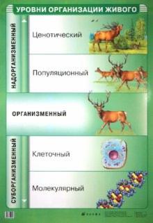 Иван Чернов - Уровни организации живого обложка книги Иван Чернов - Уровни организации живого обложка книги