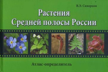 цветковые растения средней полосы россии
