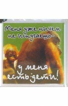 Магнитные подарочки. Меня уже ничем... (М-079) Магнитные подарочки. Меня уже ничем... (М-079)