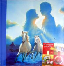 Фотоальбом на 200 фотографий 10х15 "Romance" (11196 LMT-4R200CPPBB) Фотоальбом на 200 фотографий 10х15 "Romance" (11196 LMT-4R200CPPBB)