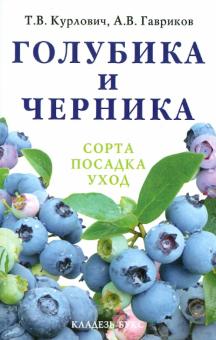 Голубика и черника