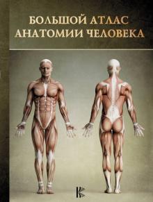 Большой атлас анатомии человека обложка книги Большой атлас анатомии человека обложка книги