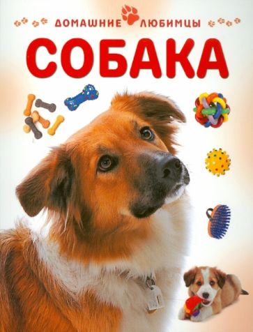 Мэтью Рейнер - Собака обложка книги Мэтью Рейнер - Собака обложка книги