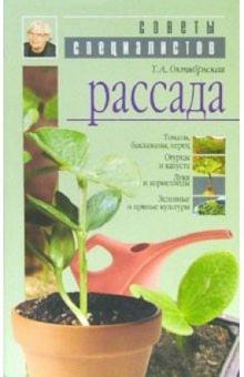 Рассада