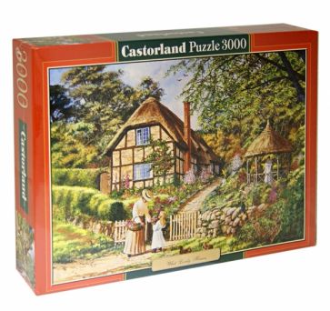 Puzzle-3000 "Прекрасные цветы" (C-300358) Puzzle-3000 "Прекрасные цветы" (C-300358)
