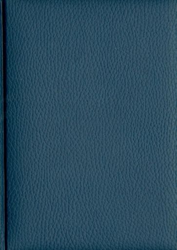 Ежедневник датированный "Даллас". 2014 год. Синий (72345394) Ежедневник датированный "Даллас". 2014 год. Синий (72345394)