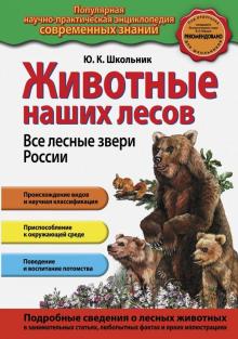 Юлия Школьник - Животные наших лесов. Все лесные звери России обложка книги Юлия Школьник - Животные наших лесов. Все лесные звери России обложка книги
