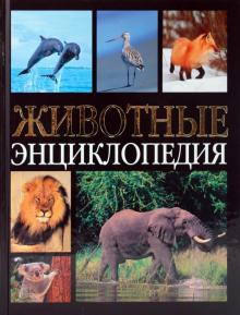 Ю. Касаткина - Животные. Энциклопедия обложка книги Ю. Касаткина - Животные. Энциклопедия обложка книги
