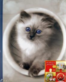 Фотоальбом "Fluffy kittens" (11614 LM-SA10) Фотоальбом "Fluffy kittens" (11614 LM-SA10)