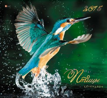 Календарь настенный на 2015 год "Яркие птицы" (КС121506) Календарь настенный на 2015 год "Яркие птицы" (КС121506)