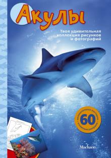 Эмма Сэл - Акулы обложка книги Эмма Сэл - Акулы обложка книги