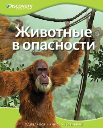 Животные в опасности обложка книги Животные в опасности обложка книги