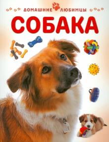 Мэтью Рейнер - Собака обложка книги Мэтью Рейнер - Собака обложка книги