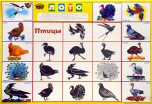 Лото: Птицы 688 (350х500) Лото: Птицы 688 (350х500)