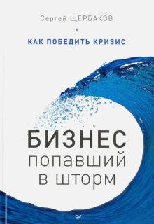Сергей Щербаков - Бизнес, попавший в шторм. Как победить кризис обложка книги Сергей Щербаков - Бизнес, попавший в шторм. Как победить кризис обложка книги